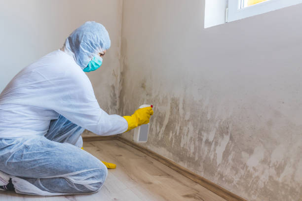 Mold inspector in Addison performing thermal imaging